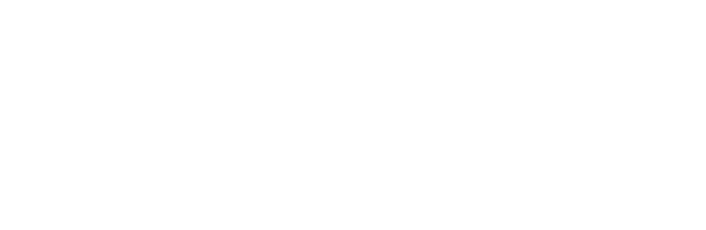 Rayenco Consultores